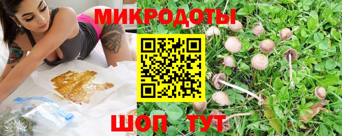 Псилоцибиновые грибы GOLDEN TEACHER  Вход с VPN  Пугачёв 